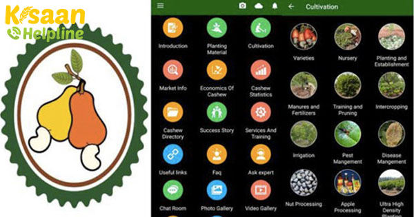 DCR द्वारा किसानों के लिए काजू इंडिया ऐप लॉन्च किया गया